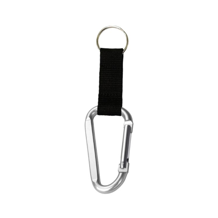 Picture of Carabiner Keychain
