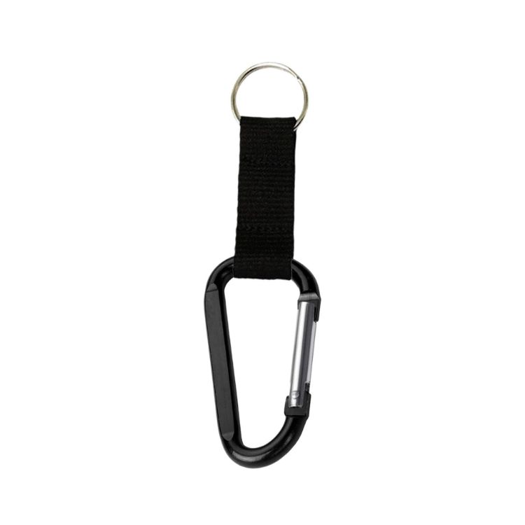 Picture of Carabiner Keychain