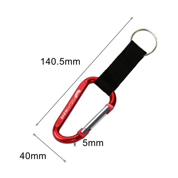 Picture of Carabiner Keychain