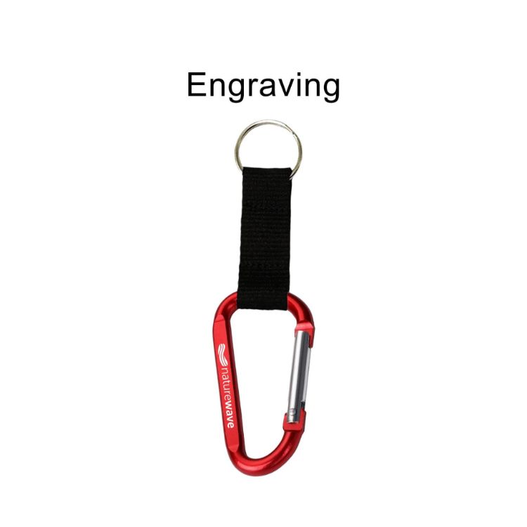 Picture of Carabiner Keychain