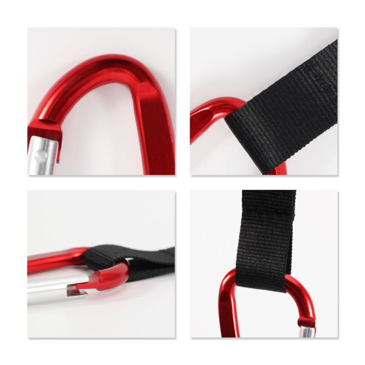 Picture of Carabiner Keychain