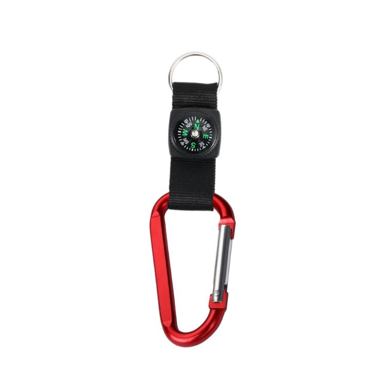 Picture of Carabiner with Compass Keychain