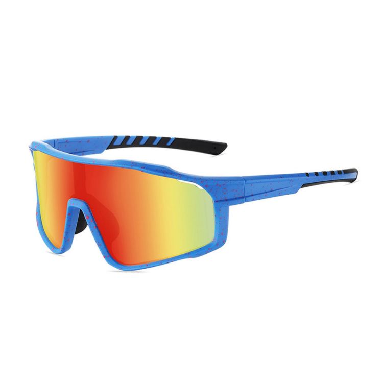Picture of Classic Sport Glasses