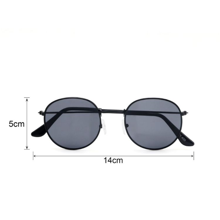 Picture of Classic Metal Sunglasses