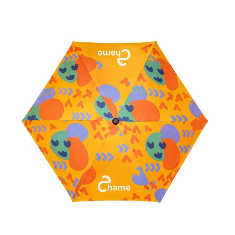 Picture of Small Lite Umbrella