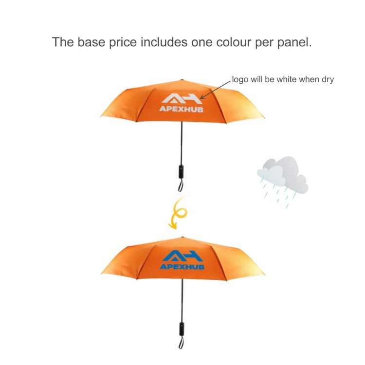 Picture of 23'' Colour Changing Umbrella