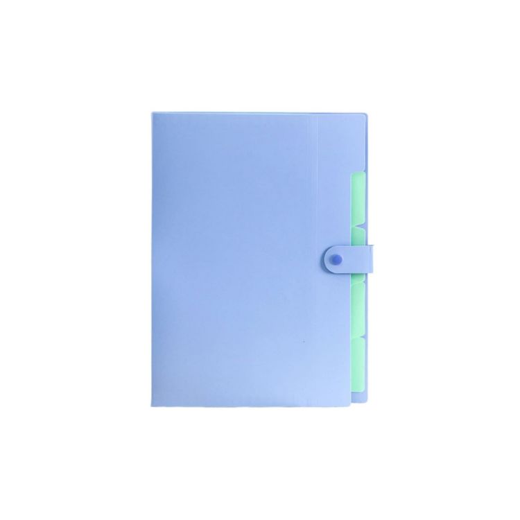 Picture of A4 Expandable File Folder