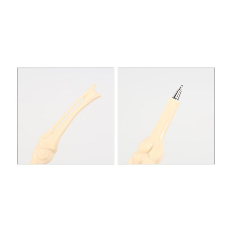 Picture of Knee Joint Bone Pen