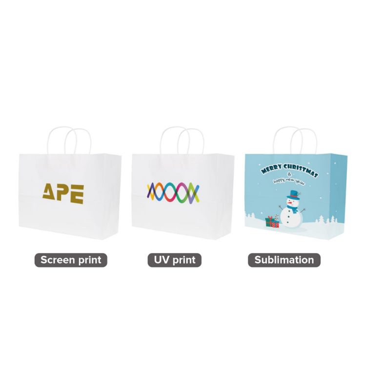 Picture of Twisted Handle Kraft Paper Bag(320x250x120mm)