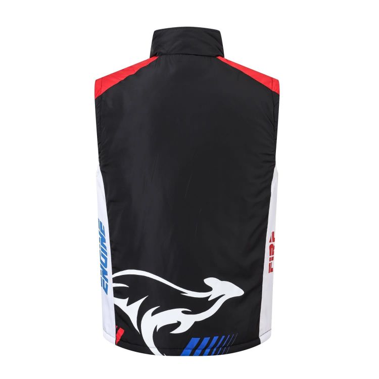 Picture of Highly Customized Gilet