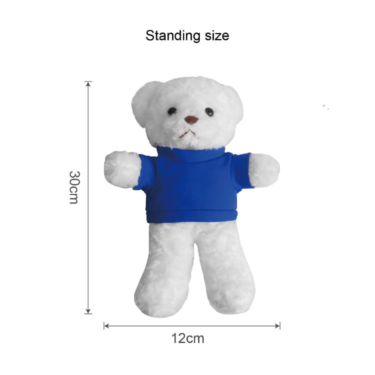 Picture of T-shirt Bear Plush Toy
