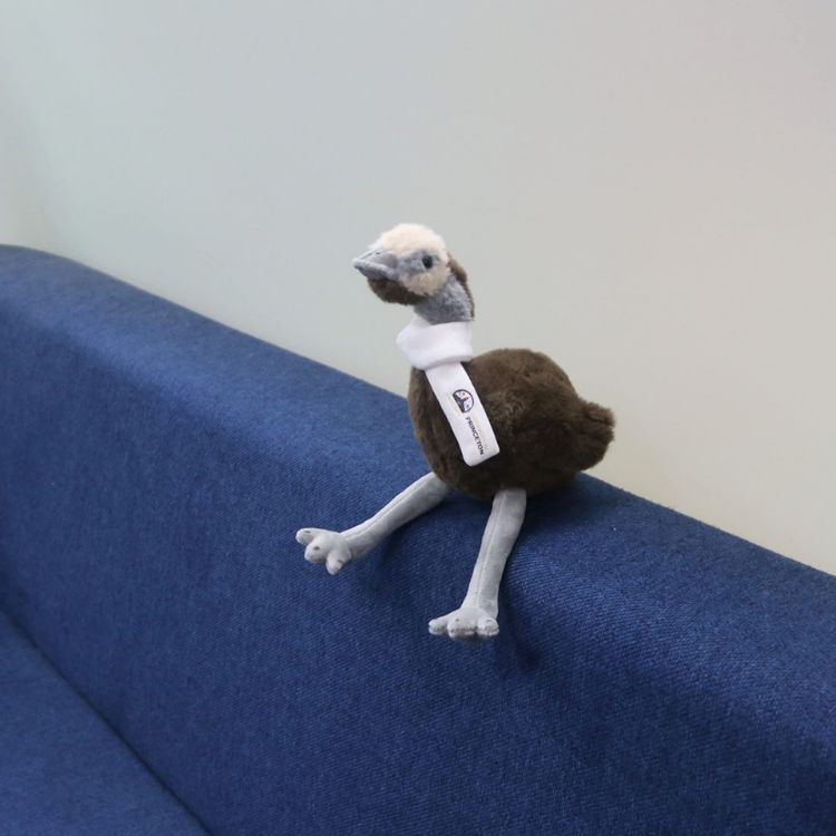 Picture of Custom Emu Plush Toy