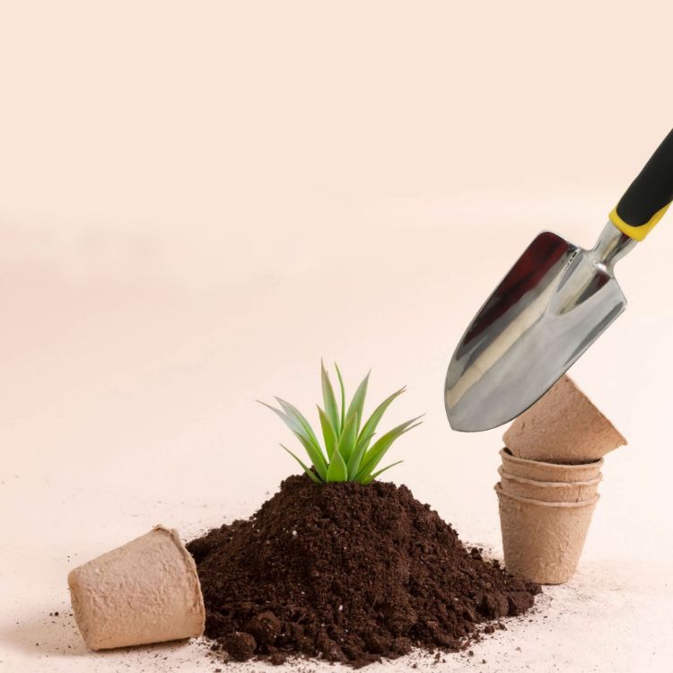 Picture of Garden Hand Tool Set