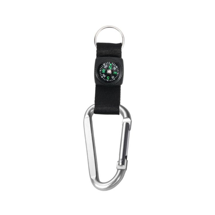 Picture of Carabiner with Compass Keychain