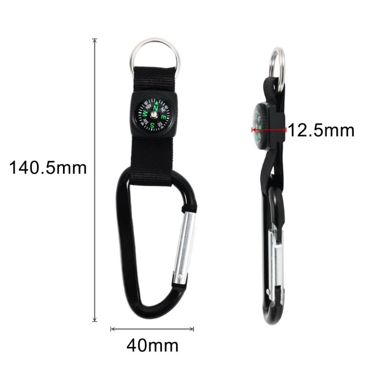 Picture of Carabiner with Compass Keychain