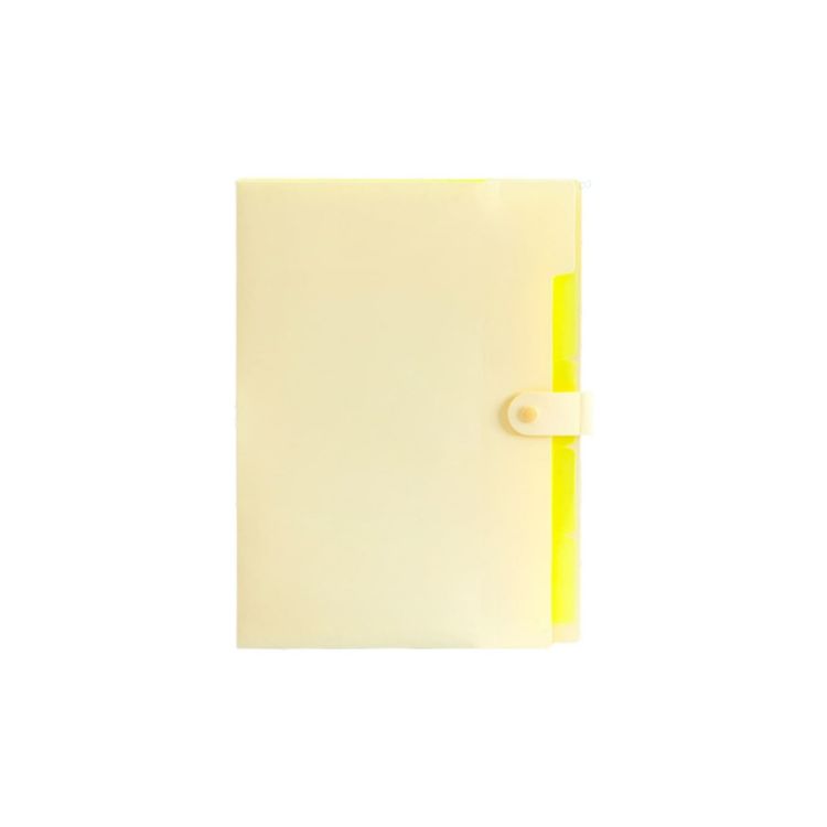 Picture of A4 Expandable File Folder