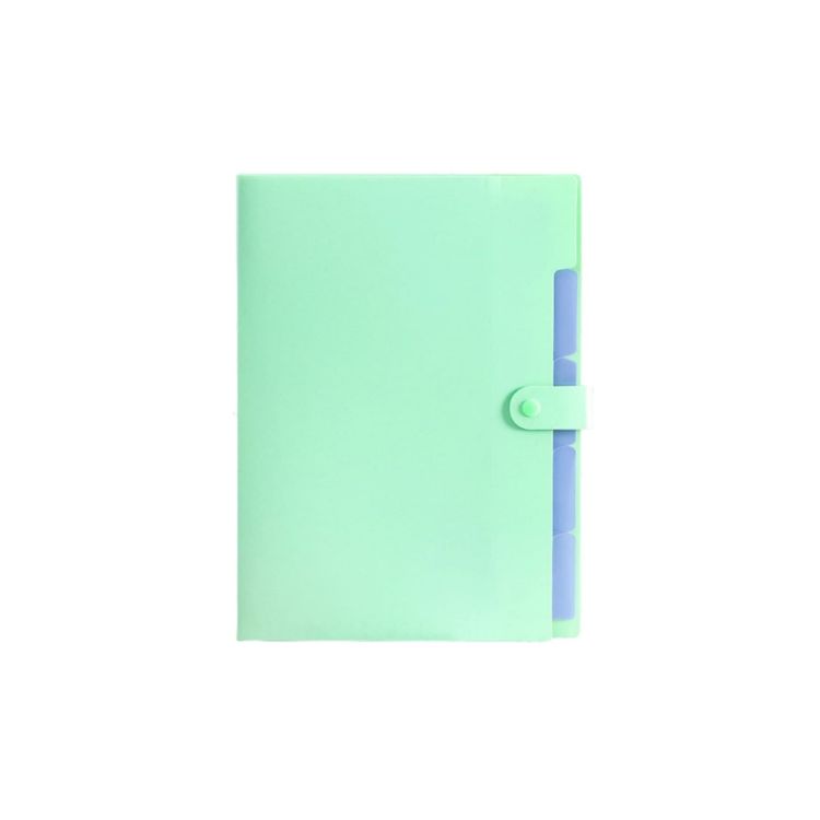 Picture of A4 Expandable File Folder