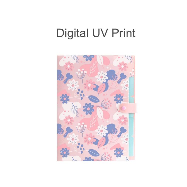 Picture of A4 Expandable File Folder