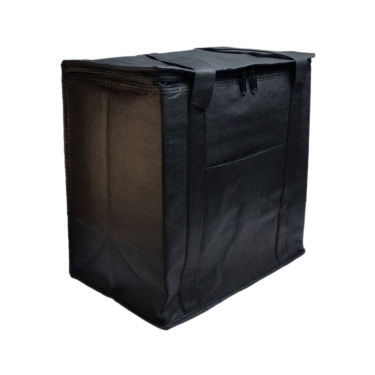 Picture of Tundra Cooler / Shopping Bag