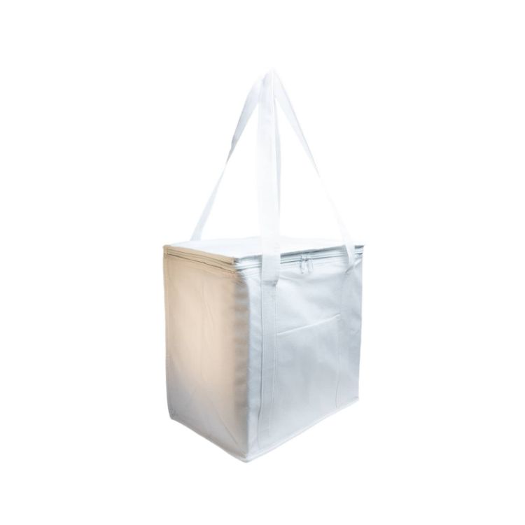 Picture of Tundra Cooler / Shopping Bag