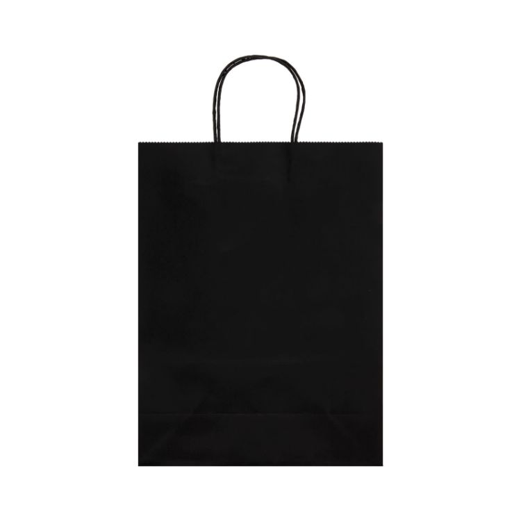 Picture of Express Paper Bag Large
