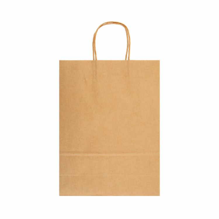 Picture of Express Paper Bag Large