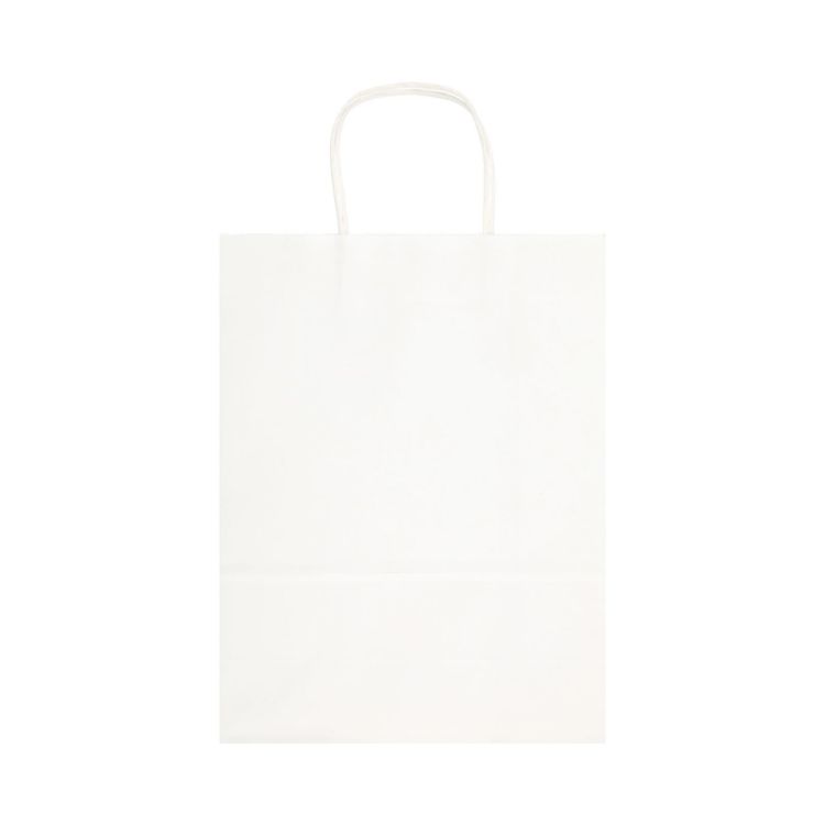Picture of Express Paper Bag Large
