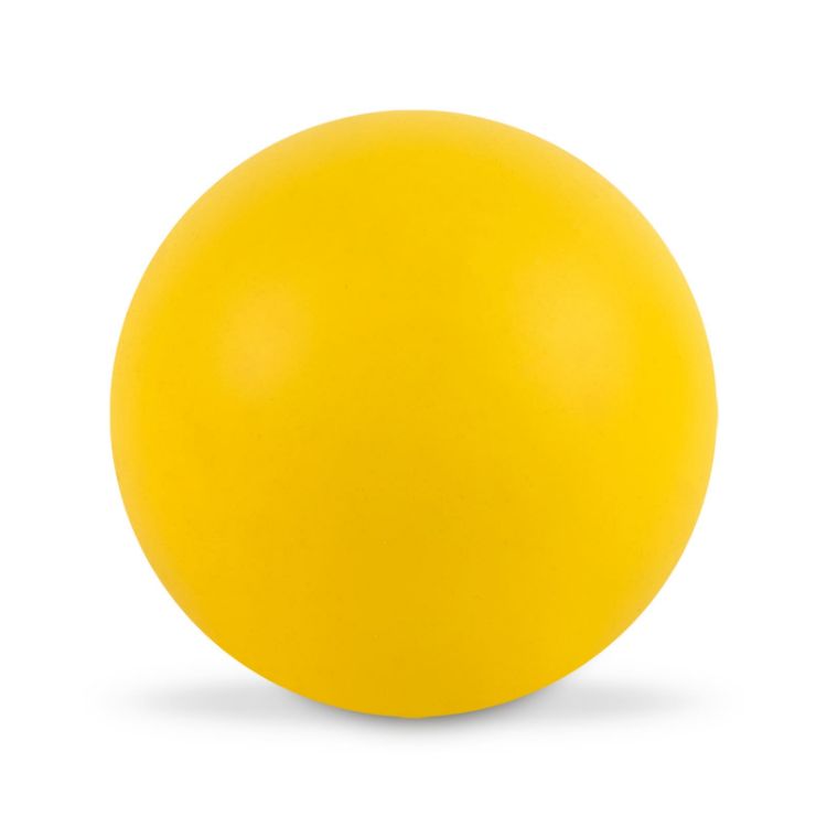 Picture of Hi Bounce Ball