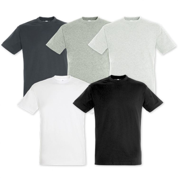 Picture of SOLS Regent Adult T-Shirt