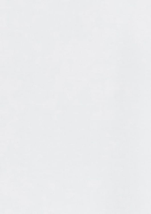 Picture of Mens Regent Long Sleeve Shirt