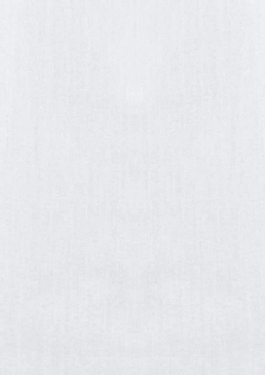 Picture of Mens Monaco Long Sleeve Shirt