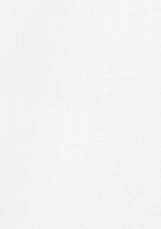 Picture of Mens Hudson Long Sleeve Shirt