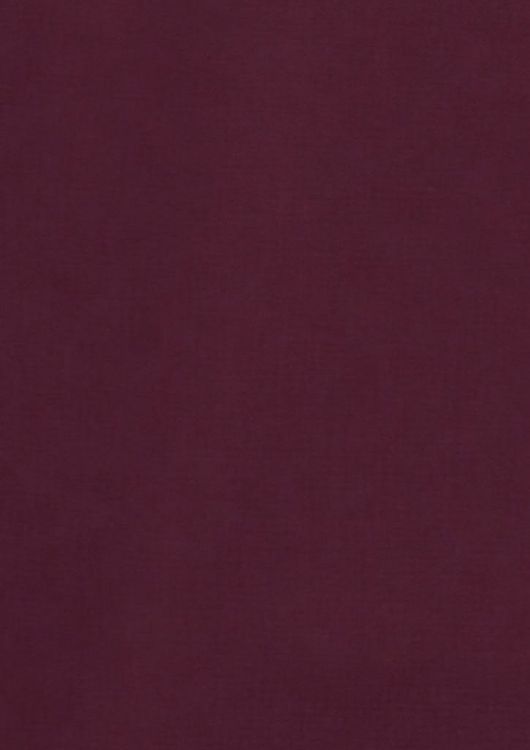 Picture of Mens Hudson Long Sleeve Shirt