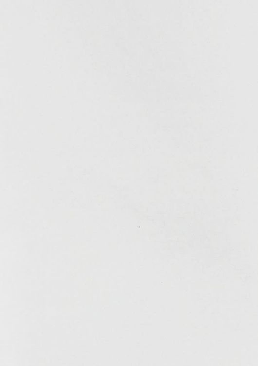 Picture of Womens Memphis Long Sleeve Shirt