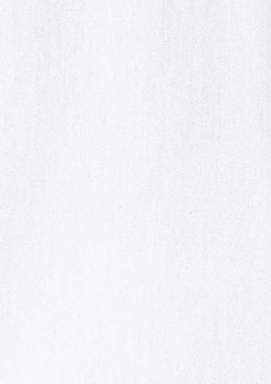 Picture of Mens Dalton Long Sleeve Shirt