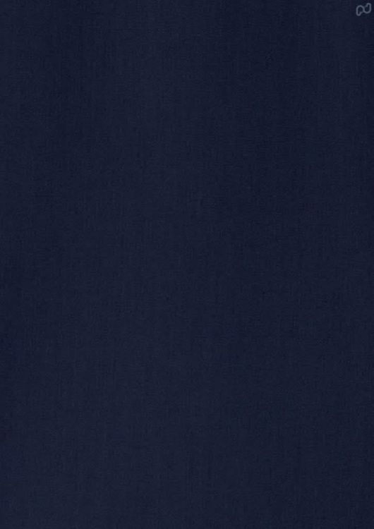 Picture of Mens Dalton Long Sleeve Shirt