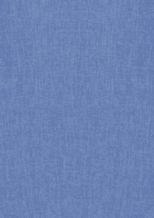 Picture of Womens Oasis Overblouse