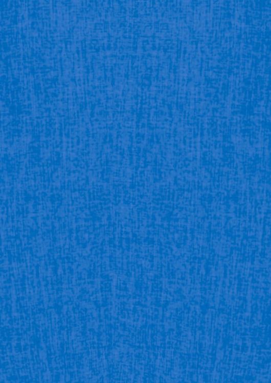 Picture of Womens Oasis Overblouse