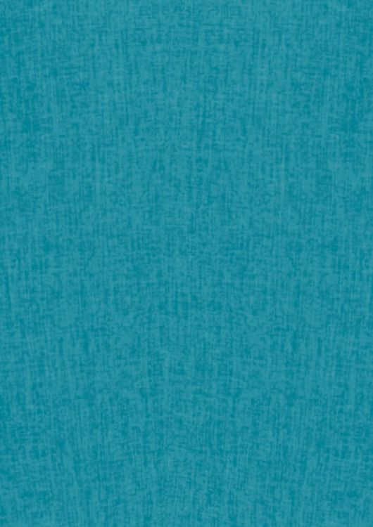 Picture of Womens Oasis Overblouse