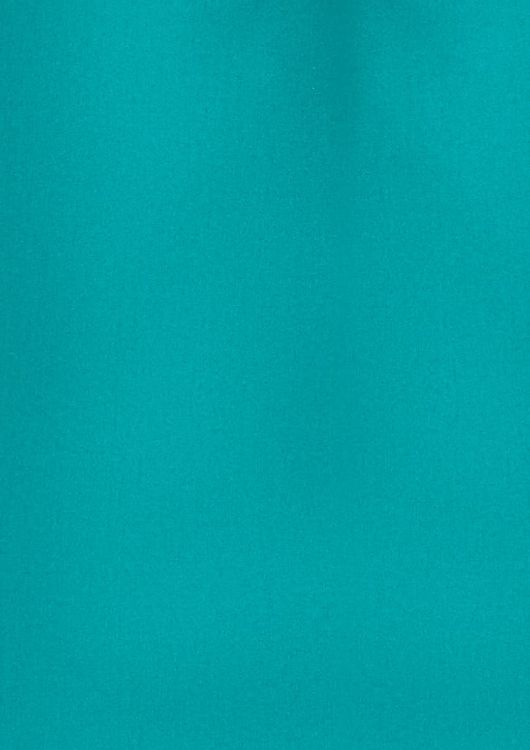 Picture of Womens Florence Plain Short Sleeve Shirt