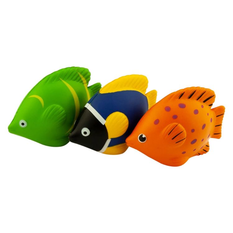 Picture of Stress Tropical Fish