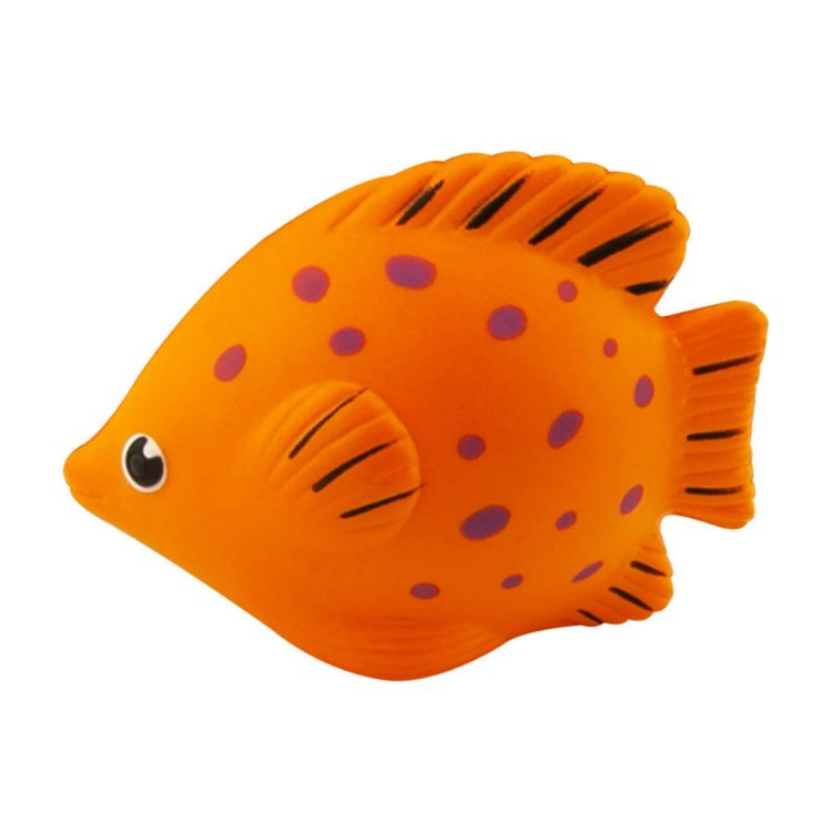 Picture of Stress Tropical Fish