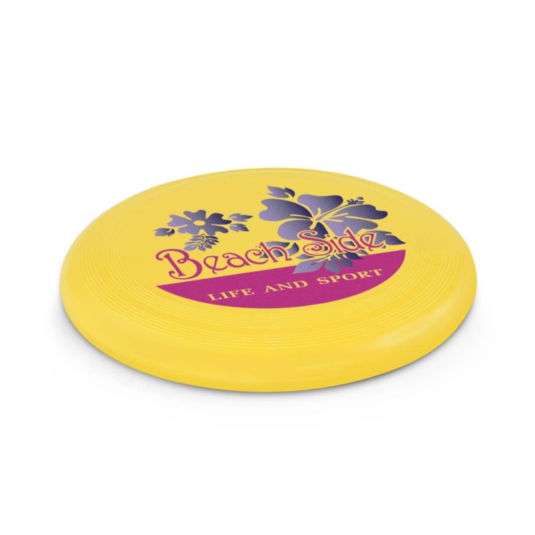 Picture of Small Flyer