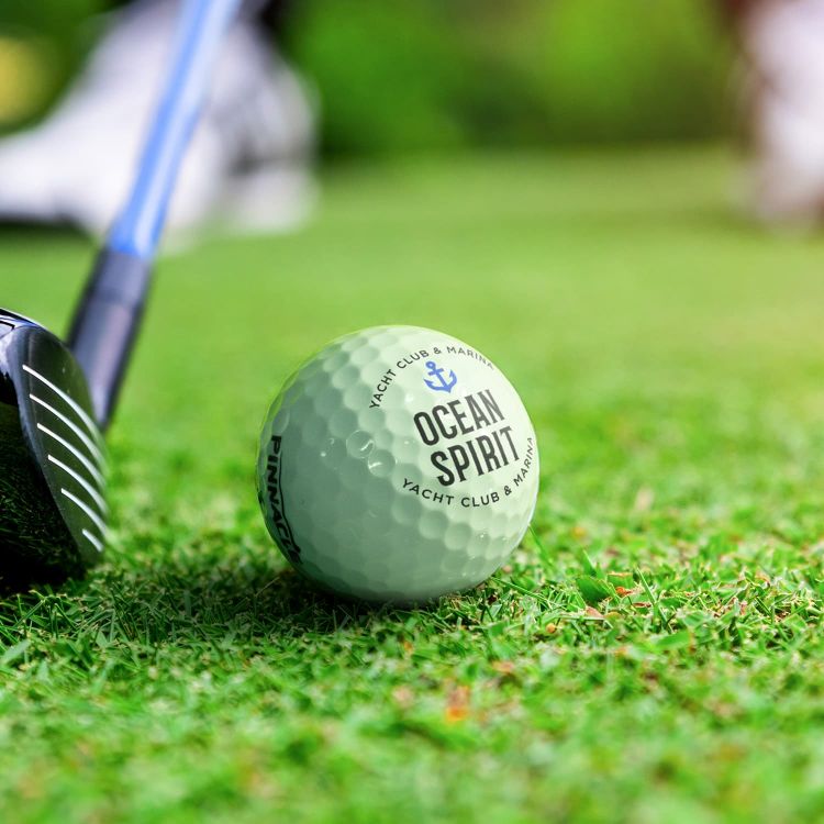Picture of Pinnacle Distance Golf Ball