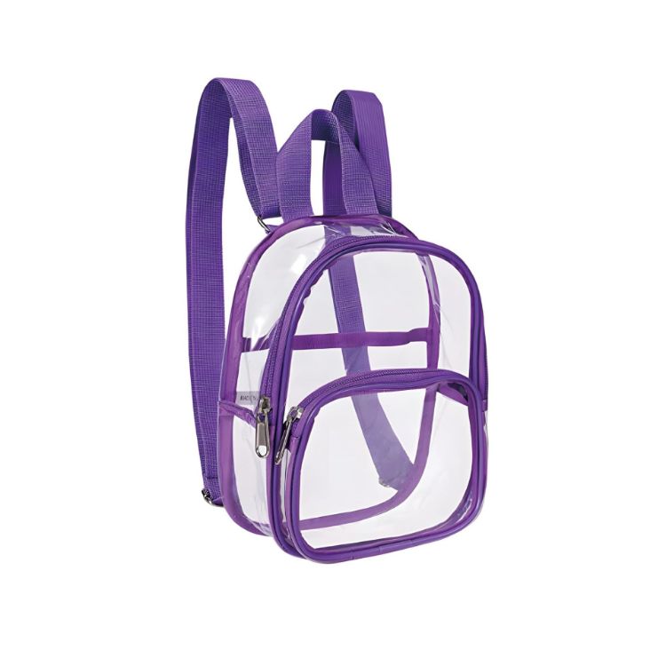 Picture of Clear Mini Backpack