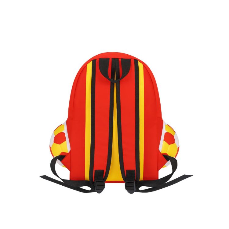 Picture of Full Colour Foldable Backpack