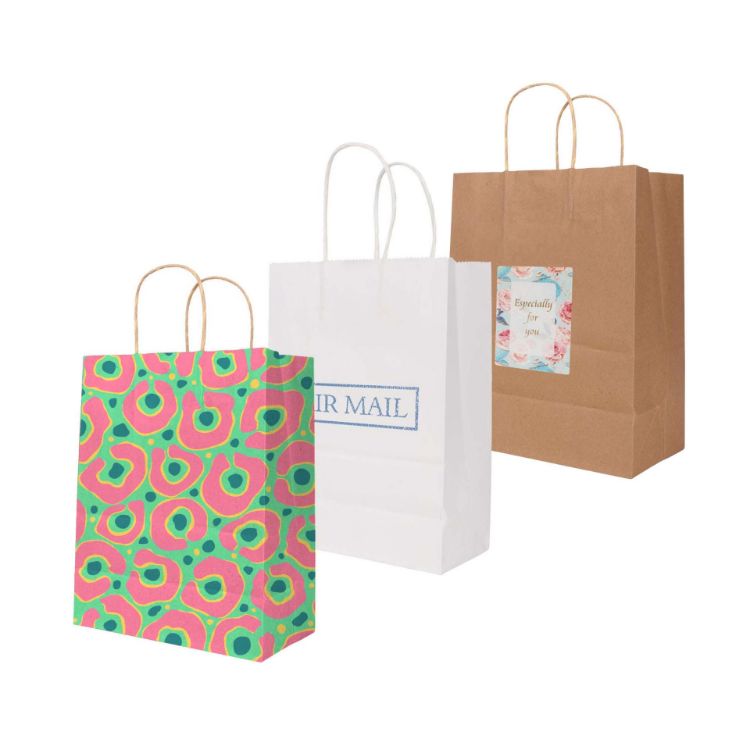 Picture of Twisted Handle Kraft Paper Bag(220x270x110mm)