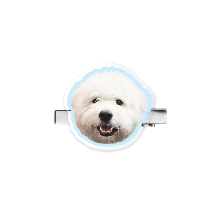 Picture of Custom Shape Acrylic Hair Clip
