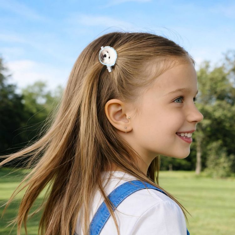 Picture of Custom Shape Acrylic Hair Clip