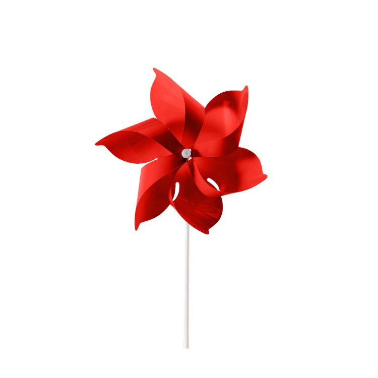Picture of Six-leaf Pinwheel